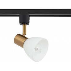 Светильник на штанге arte lamp fale...
